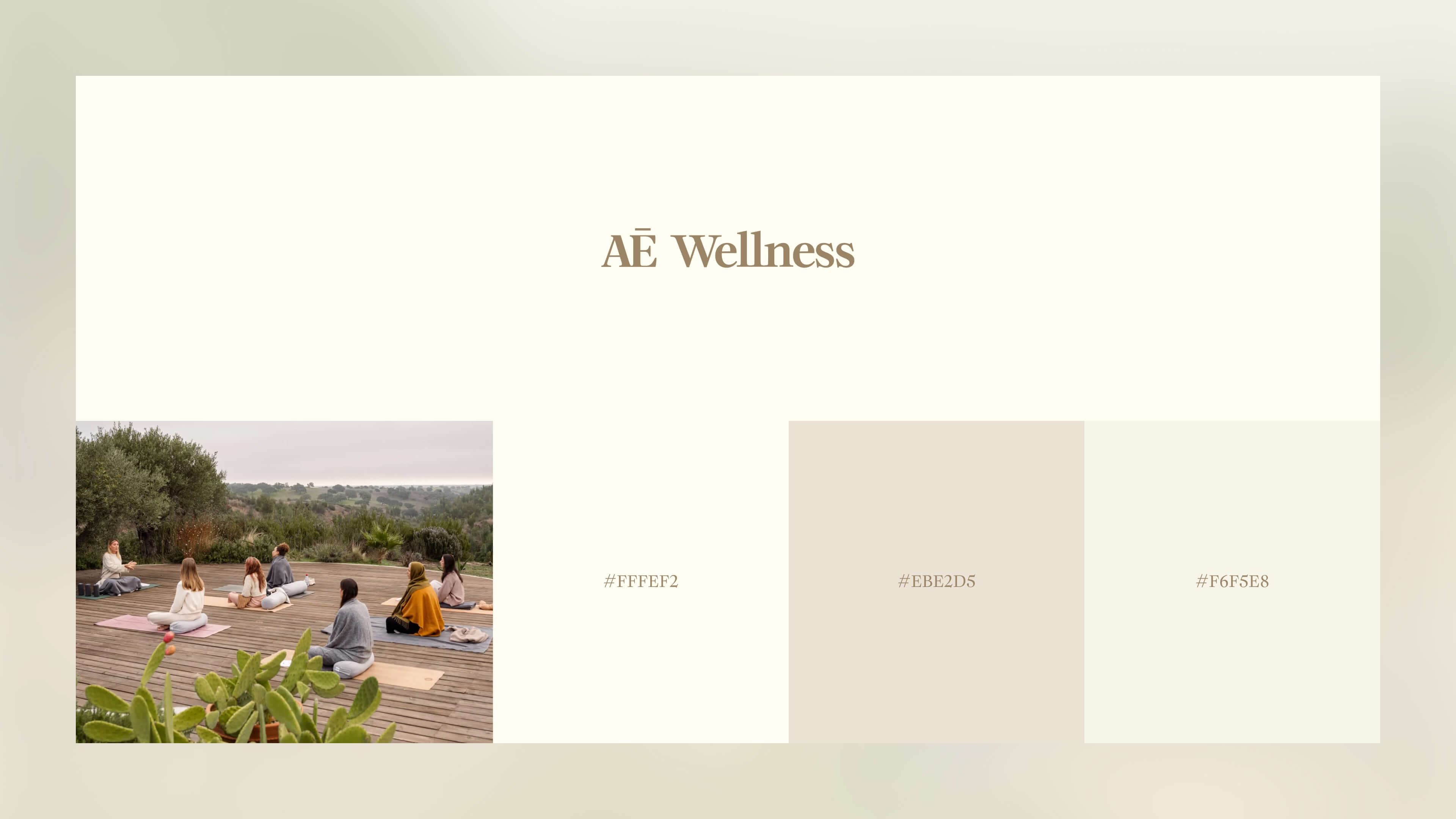 Aera Primary Colour Palette